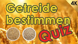 Getreide und Saatgut bestimmen - Jägerprüfung Quiz