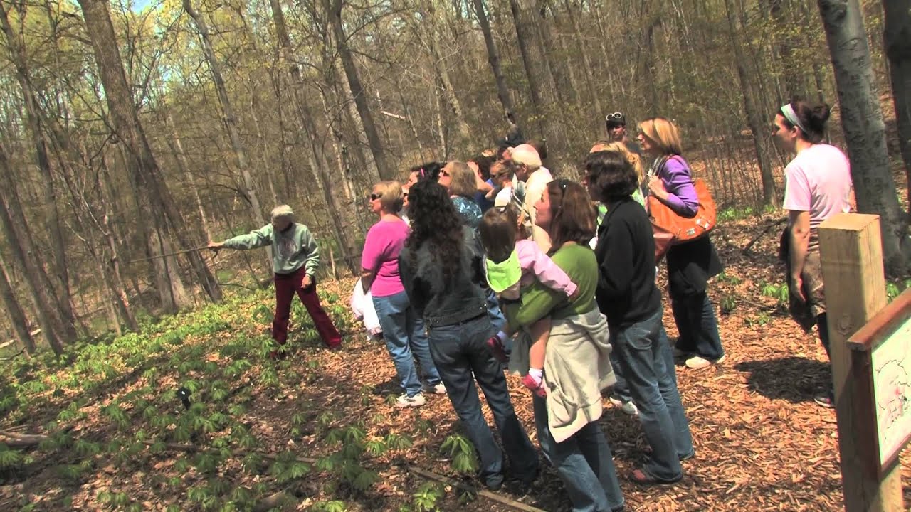 Come Explore Blandford Nature Center! YouTube