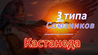 Кастанеда  Союзники блоки  Подробный разбор