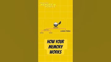The Science of Your Terrible Memory