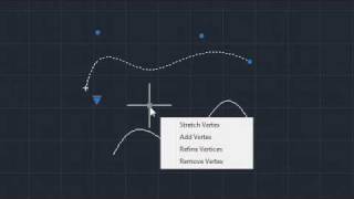 autocad_lt_2011_07_polylines_and_splines_demo_us.mp4