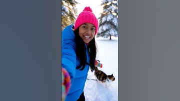 The small girl create a blog video and walking with cat in a snow ground , soft bokeh 