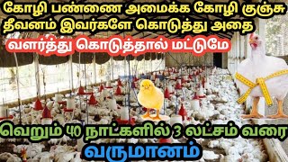 BROILER CHICKEN BUSINESS TAMIL/பிராய்லர் கோழி வளர்ப்பு/கோழி பண்ணை/ kozhi valarpu/NATTU KOZHI VALARPU