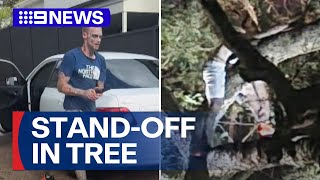 Bizarre standoff with police as man perches in tree for 12 hours | 9 News Australia