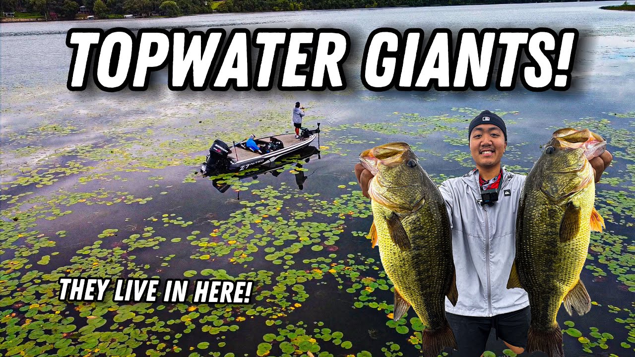 INSANE TOPWATER BITE IN A STORM! BIG MINNESOTA BASS! ( Multiple 5lbers )