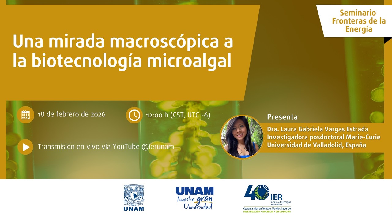 Una mirada macroscópica a la biotecnología microalgal