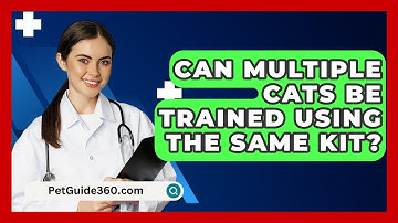 Can Multiple Cats Be Trained Using the Same Kit? - PetGuide360.com