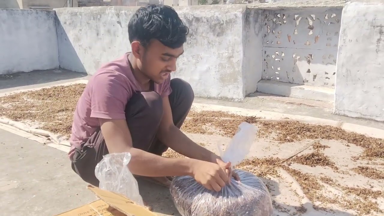 Ghar pr oyester mushroom 🍄 kese ugaye..saru se end Tak 