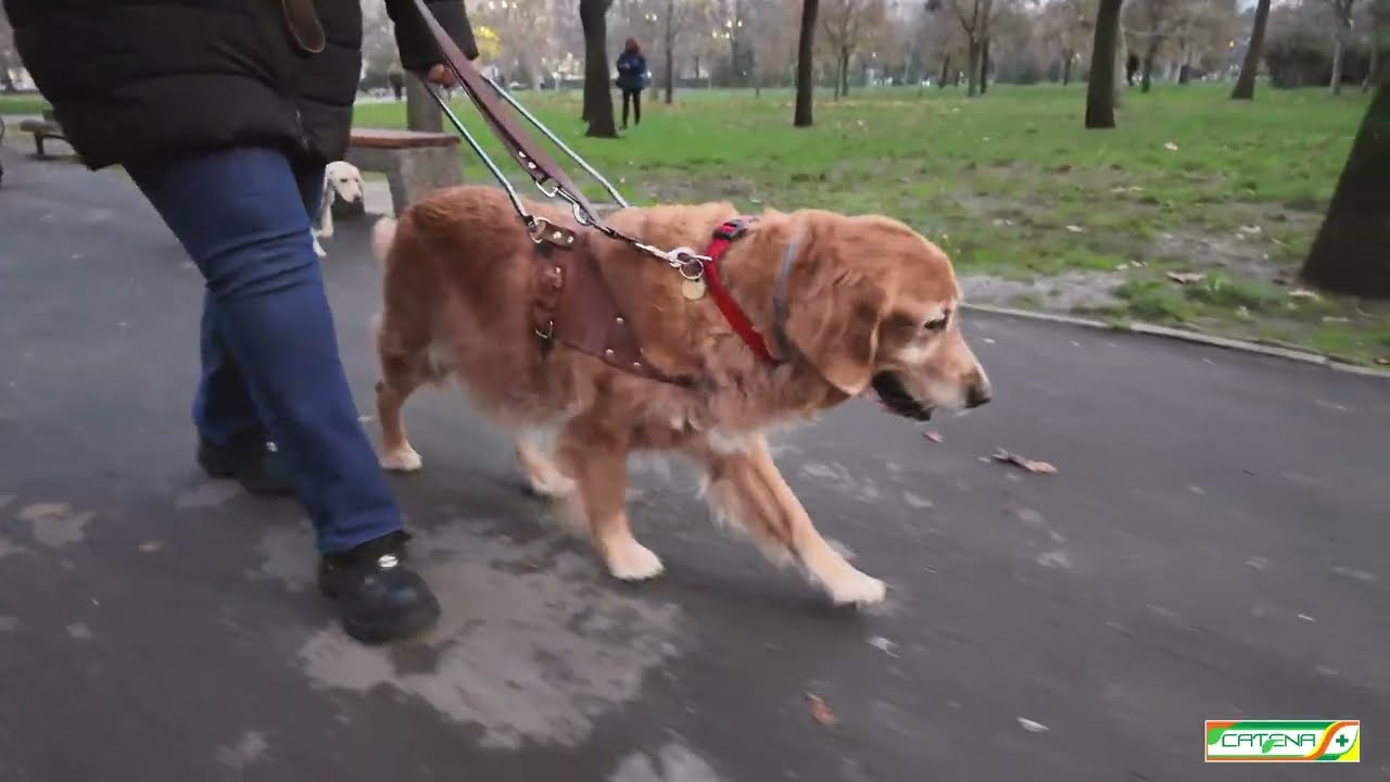 10+ ani alături de Light Into Europe – povestea care inspiră