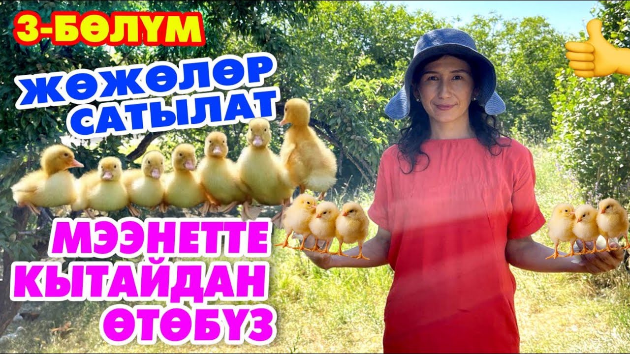 ОШ: ЖӨЖӨЛӨРДҮ ДҮҢҮНӨ САТКАН ЭЖЕ || Баары сатылат || Сизда БАШТАҢЫЗ~Номер ОПИСАНИЯДА👇