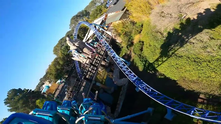Manta Christmas Sea world San Diego