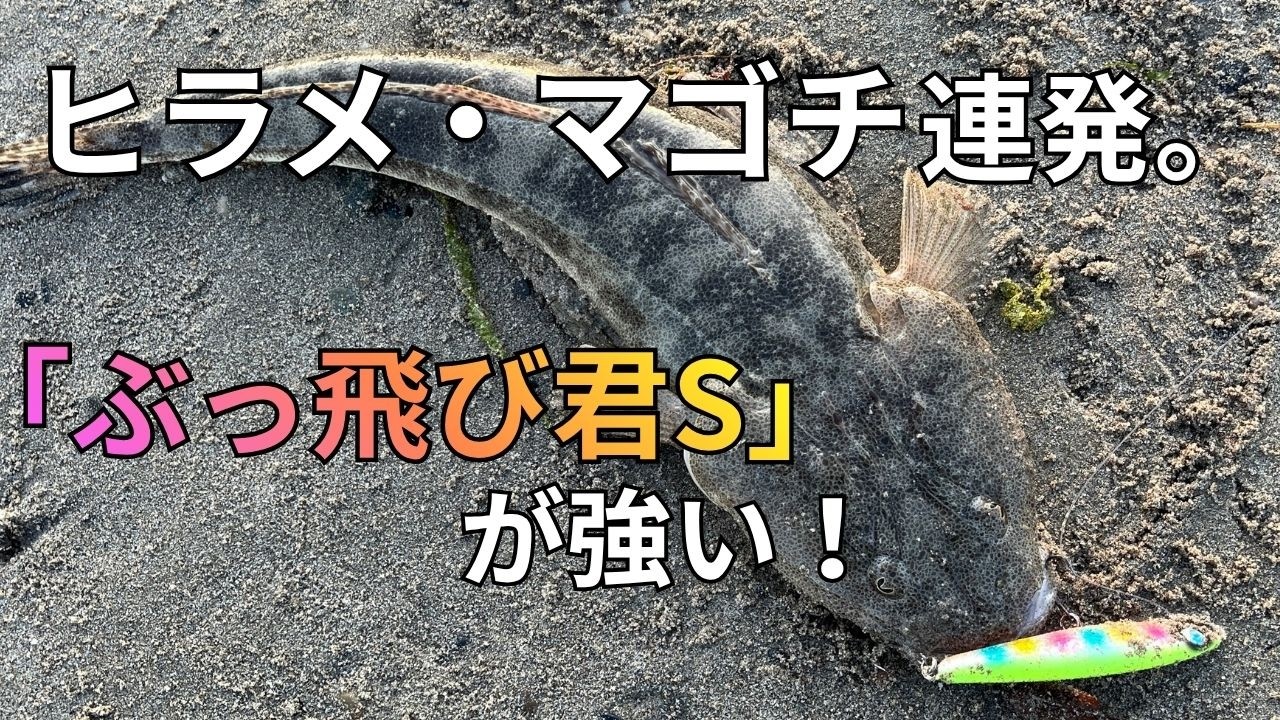 ぶっ飛び君」はバランスが絶妙なシンペン！サーフのシーバス・ヒラメ
