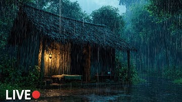 [ LIVE ] Gentle Rain & Thunderstorm Sounds – Relaxing Sleep Ambience