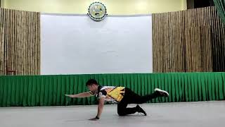 Movement Competency: Rotary Stability Push-up