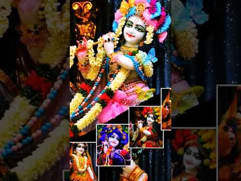 Meethe ras se bariyo ni maharani lage #radharani #shreekrishnajanmashtami  #shorts #jayakishori