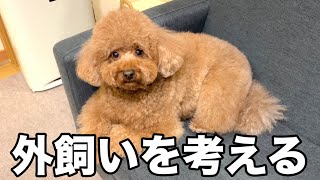 暴れすぎて外飼いを考えさせられるトイプードル。 by マロン（漢） 171,234 views 2 months ago 4 minutes, 12 seconds