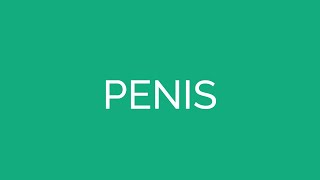 How To Pronounce Penis