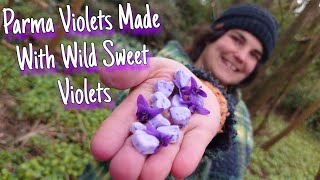 How To Make Parma Violets With Wild Sweet Violets 💜🍬 by Home Is Where Our Heart Is 4,658 views 1 year ago 9 minutes, 56 seconds