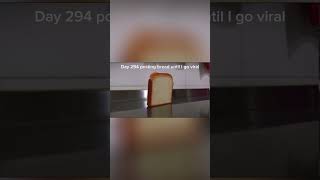 Day 294 of posting bread until I go viral #bread #viral #day294 #fyp #toast