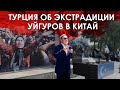 Экстрадиция уйгуров в Китай: Турция ответила на запрос