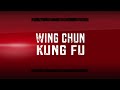 Wing chun kung fu spring 2023  ving tsun newcastle  moi fa academy