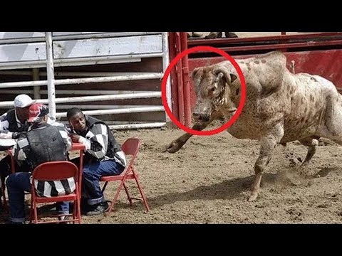 Video: Kur është sezoni i rodeos?