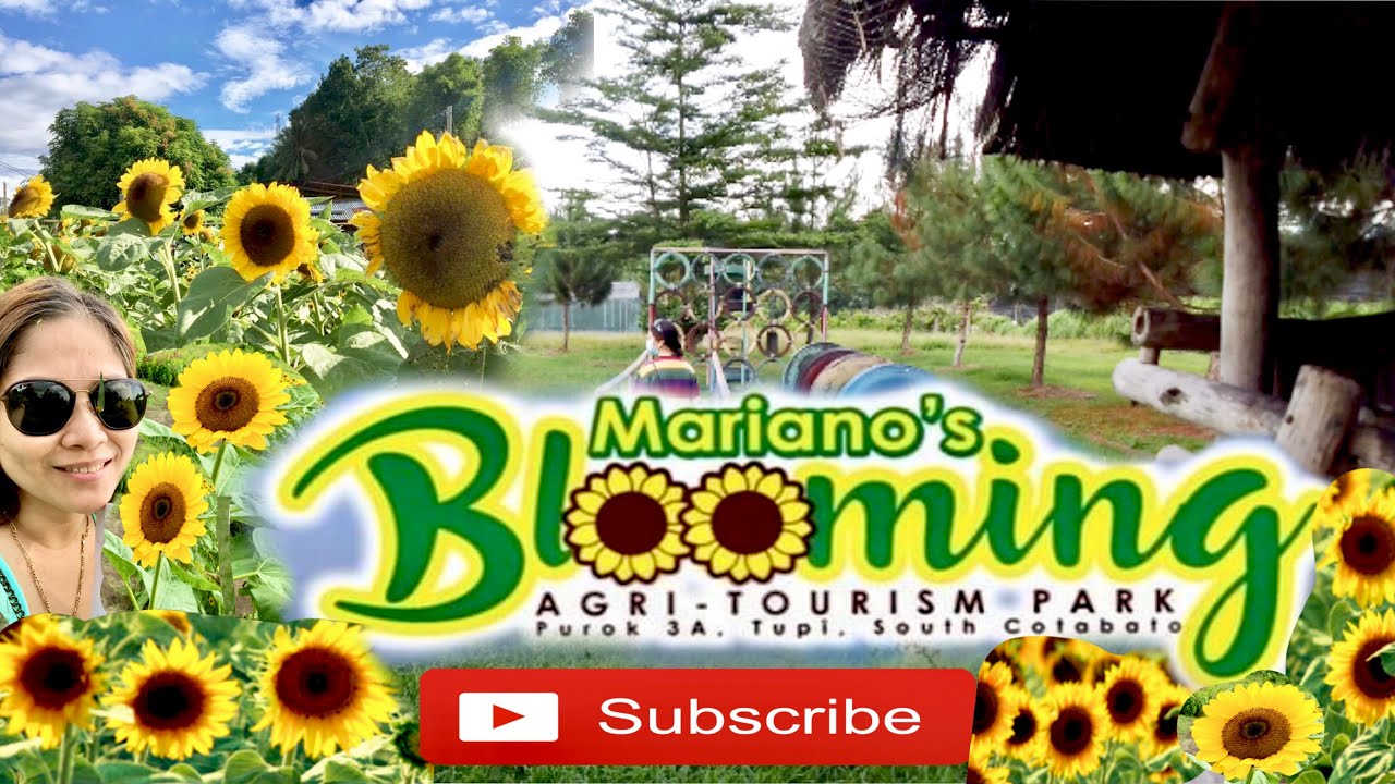 mariano's blooming agri tourism park history