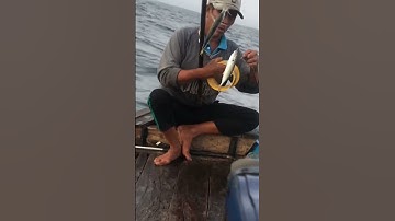 #104 nghề câu cá nục trên biển Đông #shorts