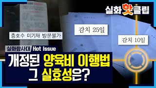 [실화탐사대] 개정된 양육비 이행법, 그 실효성은?, MBC 211106 방송