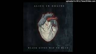 Alice In Chains - Lesson Learned
