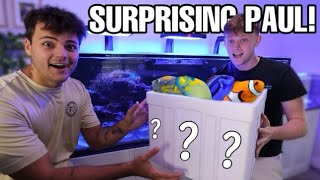 SURPRISING PAUL CUFFARO WITH NEW REEF FISH!!!!!