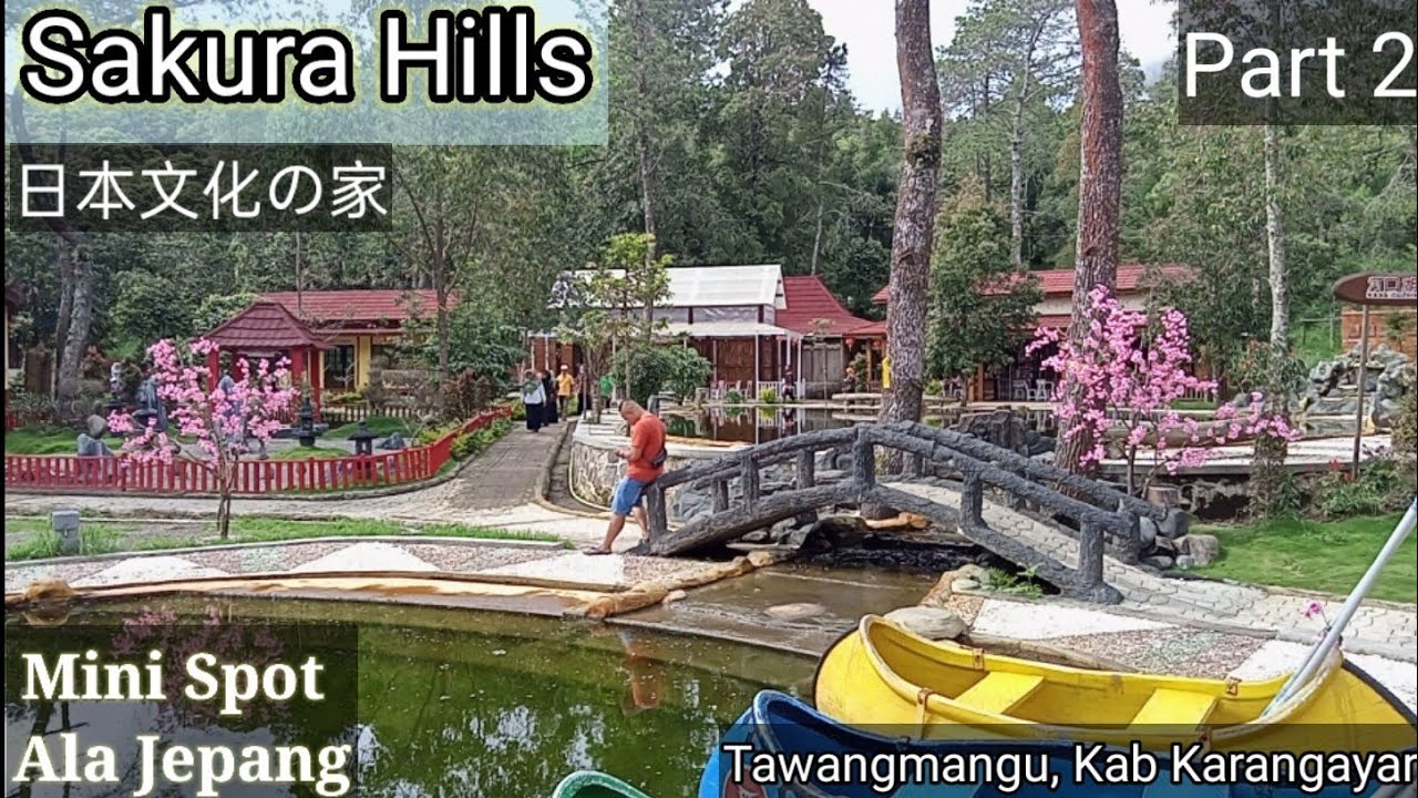 #PART2. Ohanami. melihat bunga sakura dan budaya rumah & adatnya. 