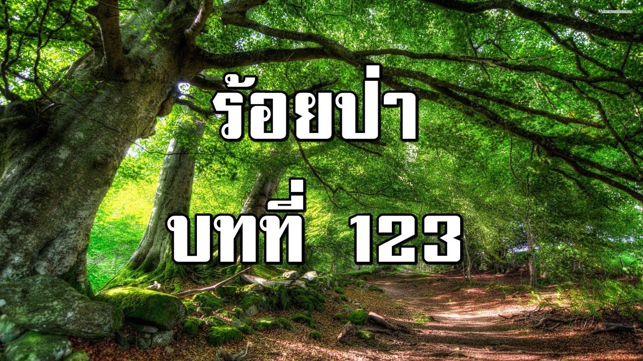 ร้อยป่า บทที่ 123 ชีวิตกลางดึก | สองยาม