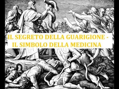 IL SEGRETO DELLA GUARIGIONE   IL SIMBOLO DELLA MEDICINA