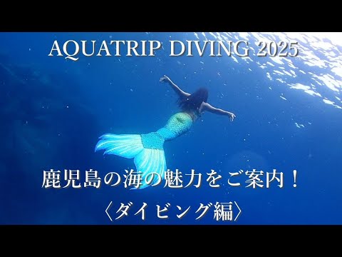 舞浜の人魚 2点おまとめページ 人魚の動画〉人魚の住む海 マーメイドMomoさん マーメイド