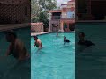 #vairalvideo #swimming #video