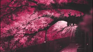 Passionfruit - Drake (Slowed + Reverb)