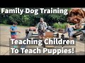 Family Dog Training | Teaching Children To Teach Puppies! Session Excerpt