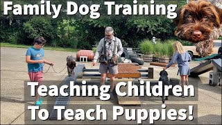 Family Dog Training | Teaching Children To Teach Puppies! Session Excerpt