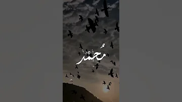 حالات واتس المولد النبوي يرتوي بالحب قلبي ماهر زين 