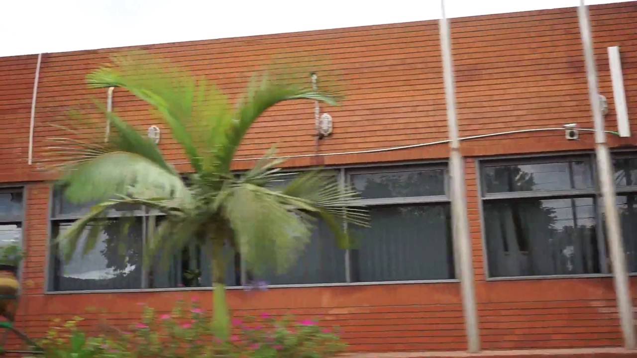 Jak wygląda miasto Hohenau w Paragwaju