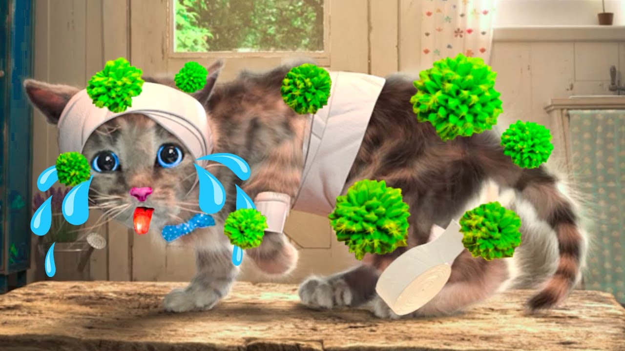 ВЕСЕЛОЕ ПРИКЛЮЧЕНИЕ МАЛЕНЬКОГО КОТЕНКА - МАСКАРАДНАЯ ВЕЧЕРИНКА И КЛАССНЫЕ ИГРЫ - СПЕЦИАЛЬНОЕ ВИДЕО