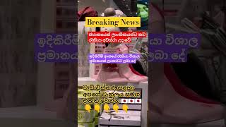 Breaking News ලංකාවට ලැබුණු අලුත්ම රැකියා #shorts #short