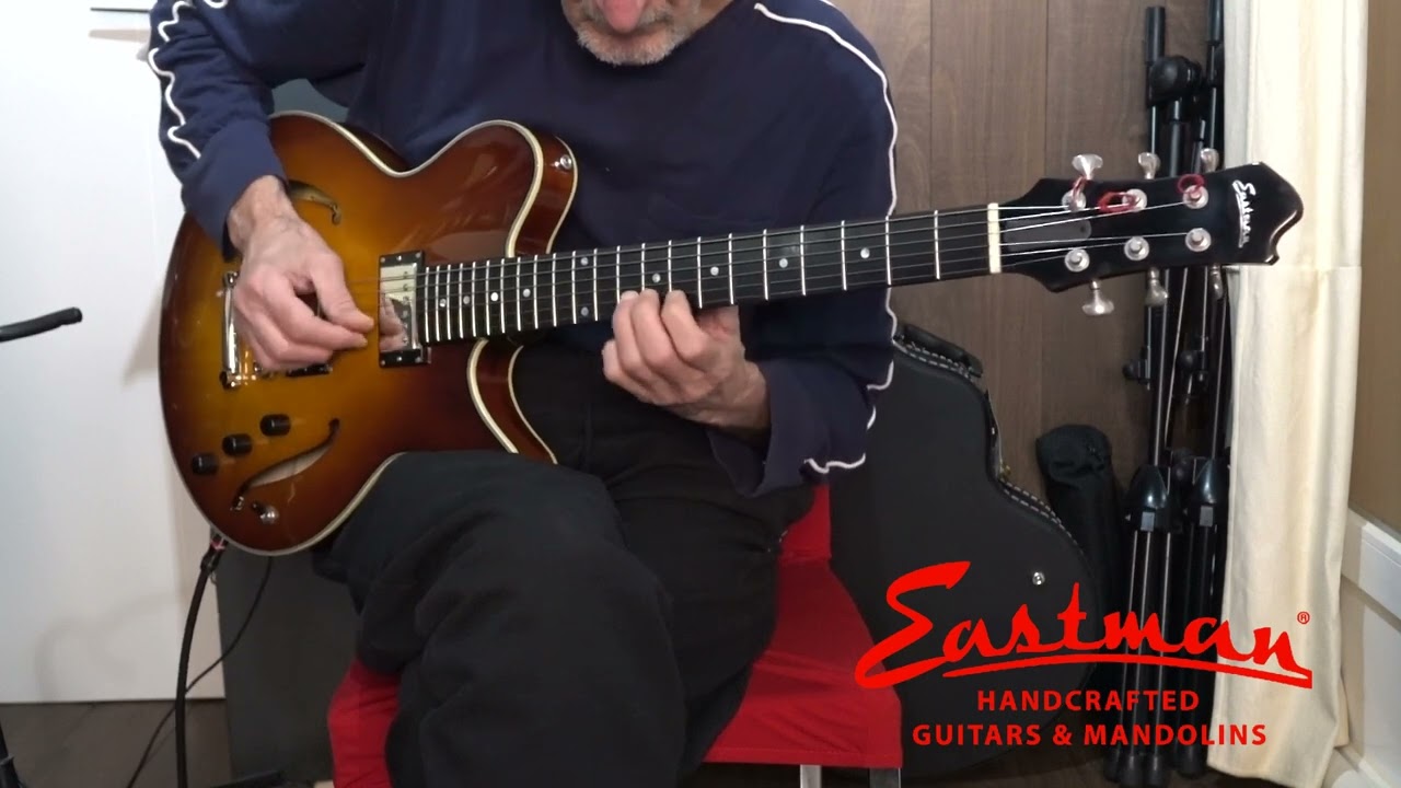 Eastman guitar / model 