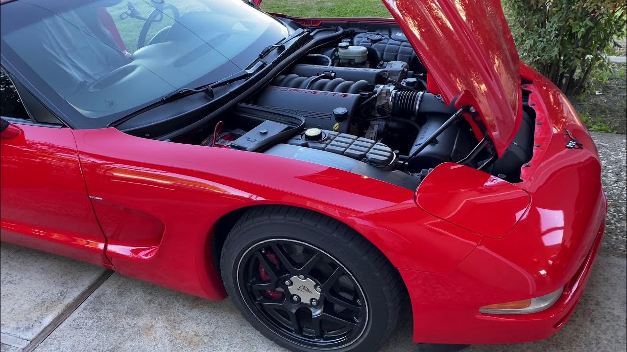 C5 Corvette harmonic balancer wobble - YouTube