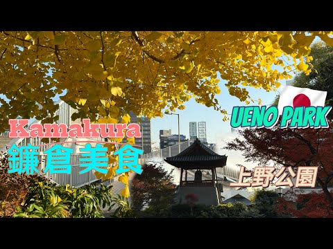 東京三天行程/上野公園/鐮倉一日遊Spend last three days in Tokyo #uenopark #kamakura #enoshima #harajuku  #shibuya