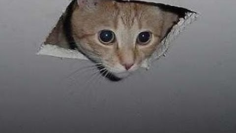 Modul 4 - Store Procedure & Trigger