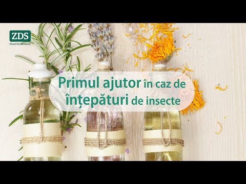 Video: Care insectă înțeapă cel mai dureros?