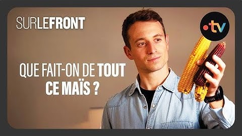 Que fait-on de tout ce maïs ? (Intégrale) - Sur le front avec Hugo Clément 16 juin 2025