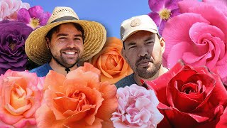 We're Rose Growers Now?